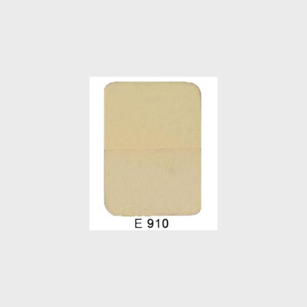 E910
